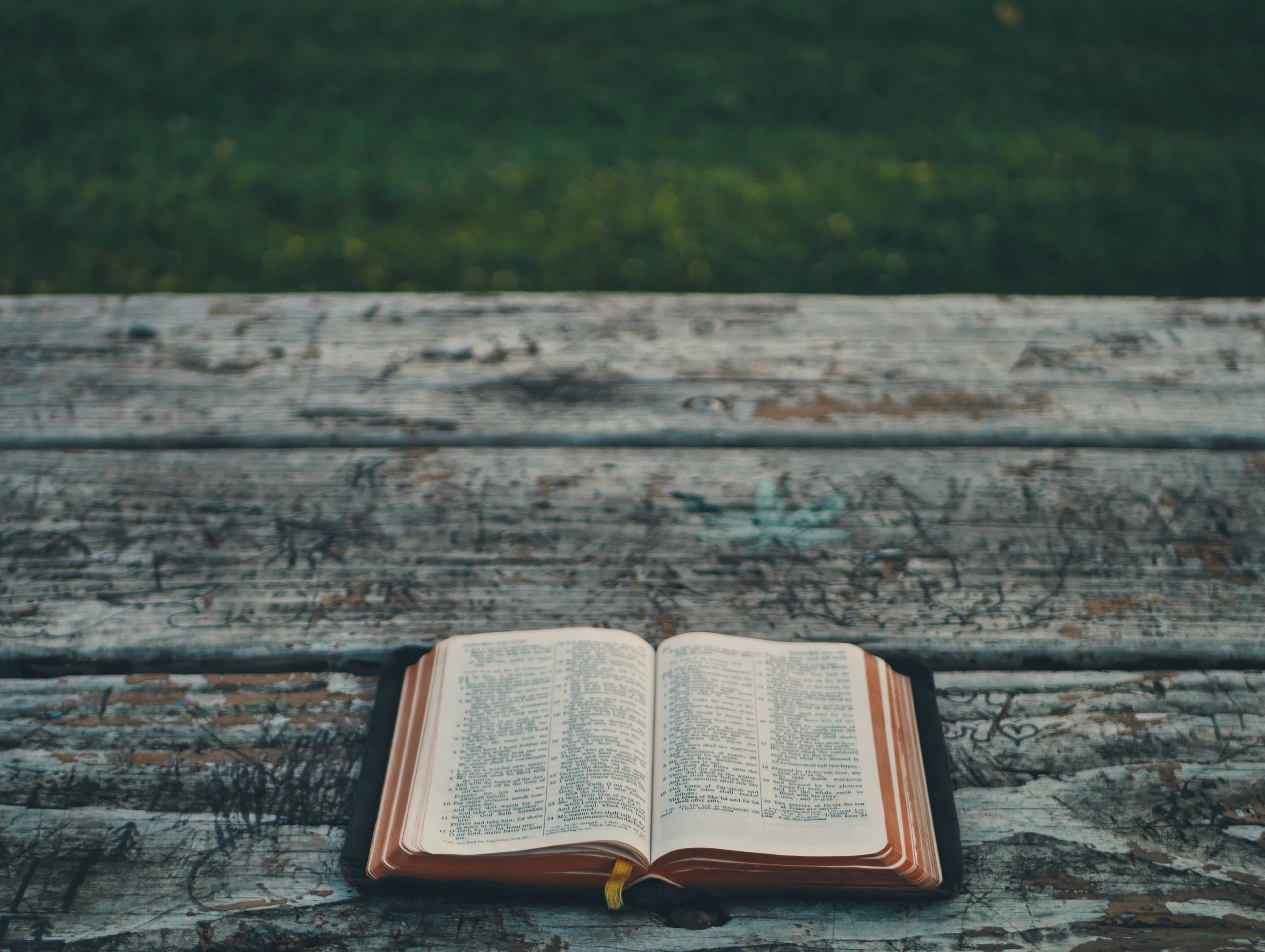 bible